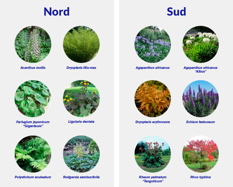 CERAMIDE, Mauves-sur-Loire, essences