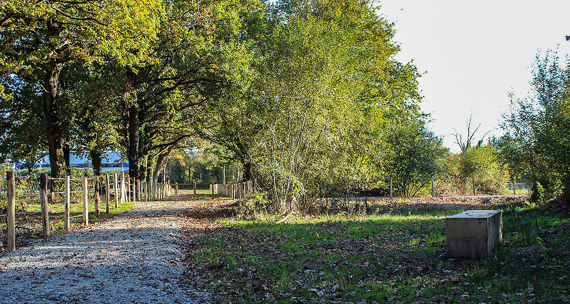 Parc tertiaire Terra Innova