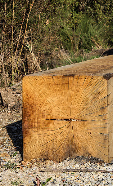 Parc tertiaire Terra Innova