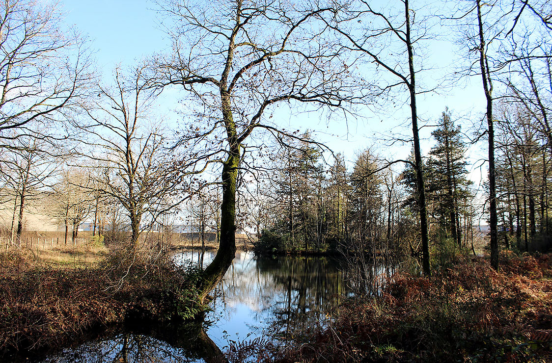 CERAMIDE, Saint-Aignan-de-Grand-Lieu, Bois des Renardières