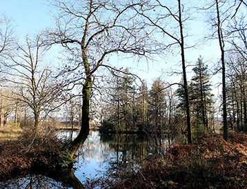 CERAMIDE, Saint-Aignan-de-Grand-Lieu, Bois des Renardières
