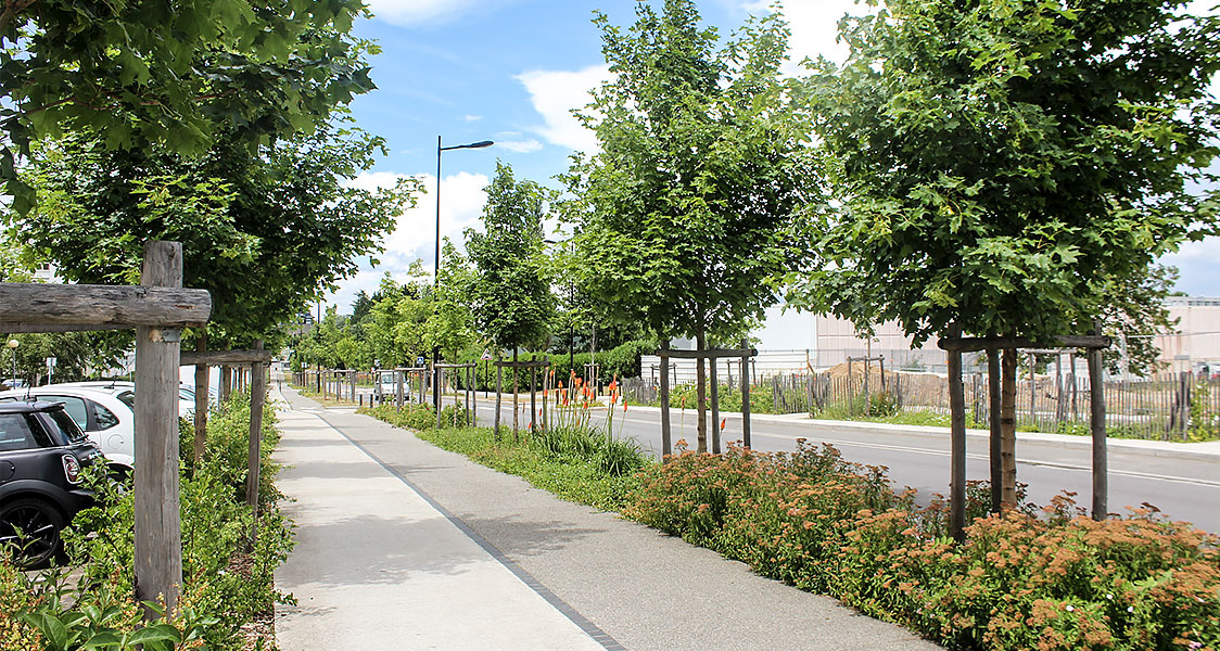 Saint-Herblain, la rue d'Aquitaine, une rue jardin