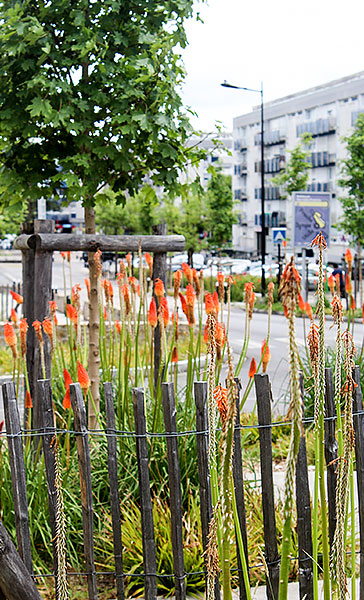 Saint-Herblain, la rue d'Aquitaine, une rue jardin