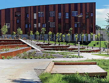 Saint-Herblain, la rue du Danube, une rizière urbaine