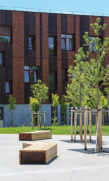 Saint-Herblain, la rue du Danube, une rizière urbaine