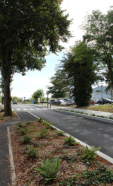 Saint-Herblain, aménagement de la rue de la Gare